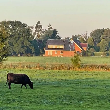 Seeblick *