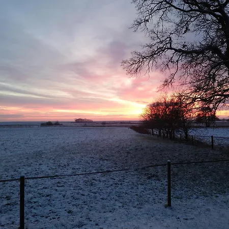 Seeblick * Dangast